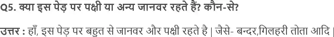 NCERT-Solution-Class-3-आसपास-पौधों-की-परी-5514-page-2