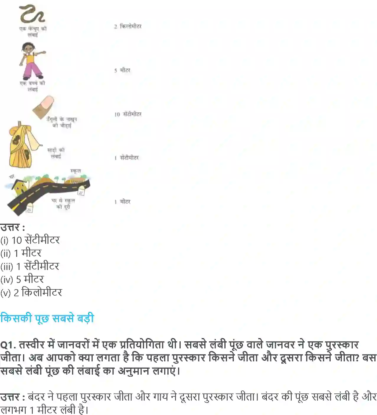 NCERT-Solution-Class-3-गणित-क्या-लंबा-क्या-छोटा-5552-page-5