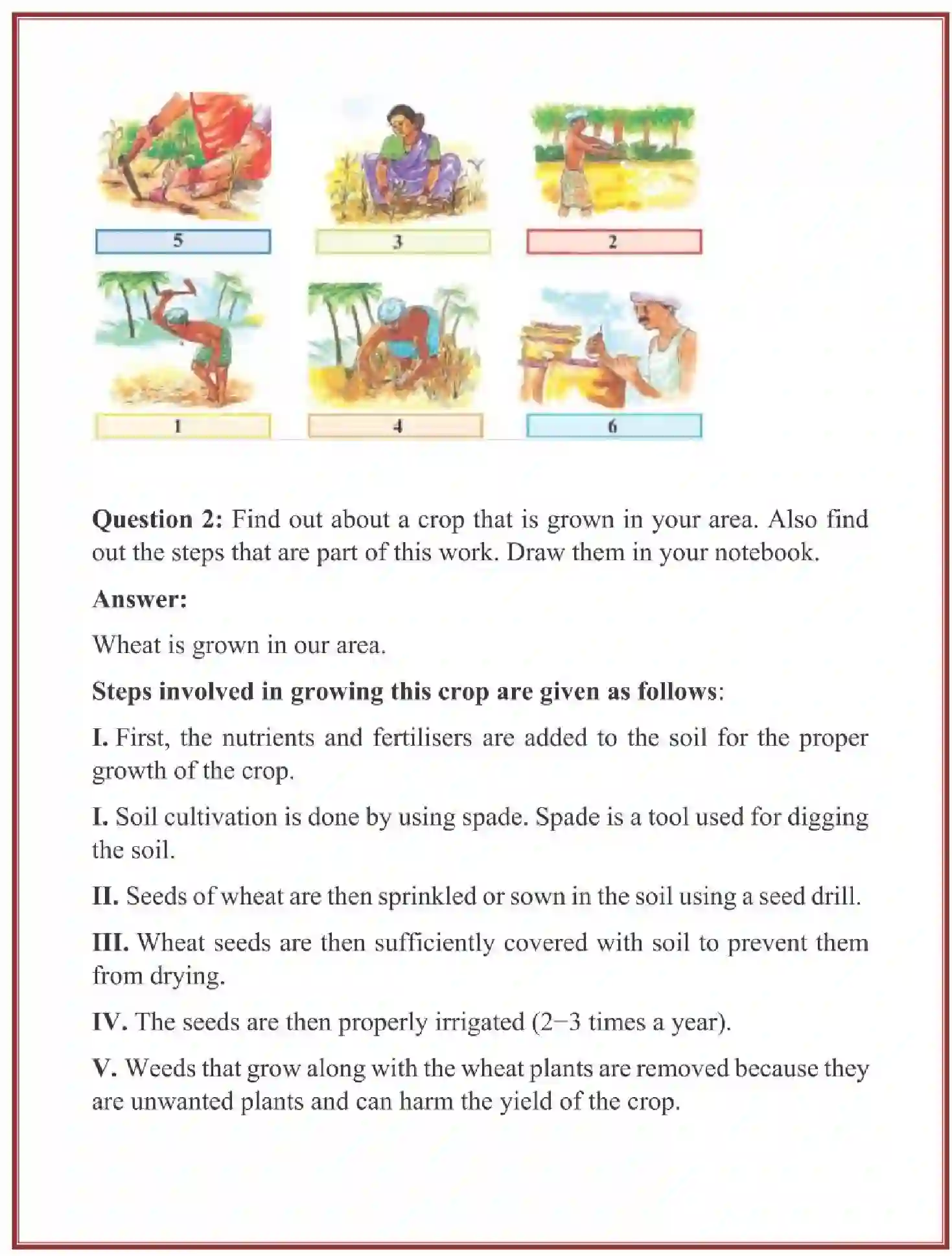 NCERT-Solution-Class-4-Looking-Around-EVS-Chapter-14-Basva’s-Farm-4098-page-5
