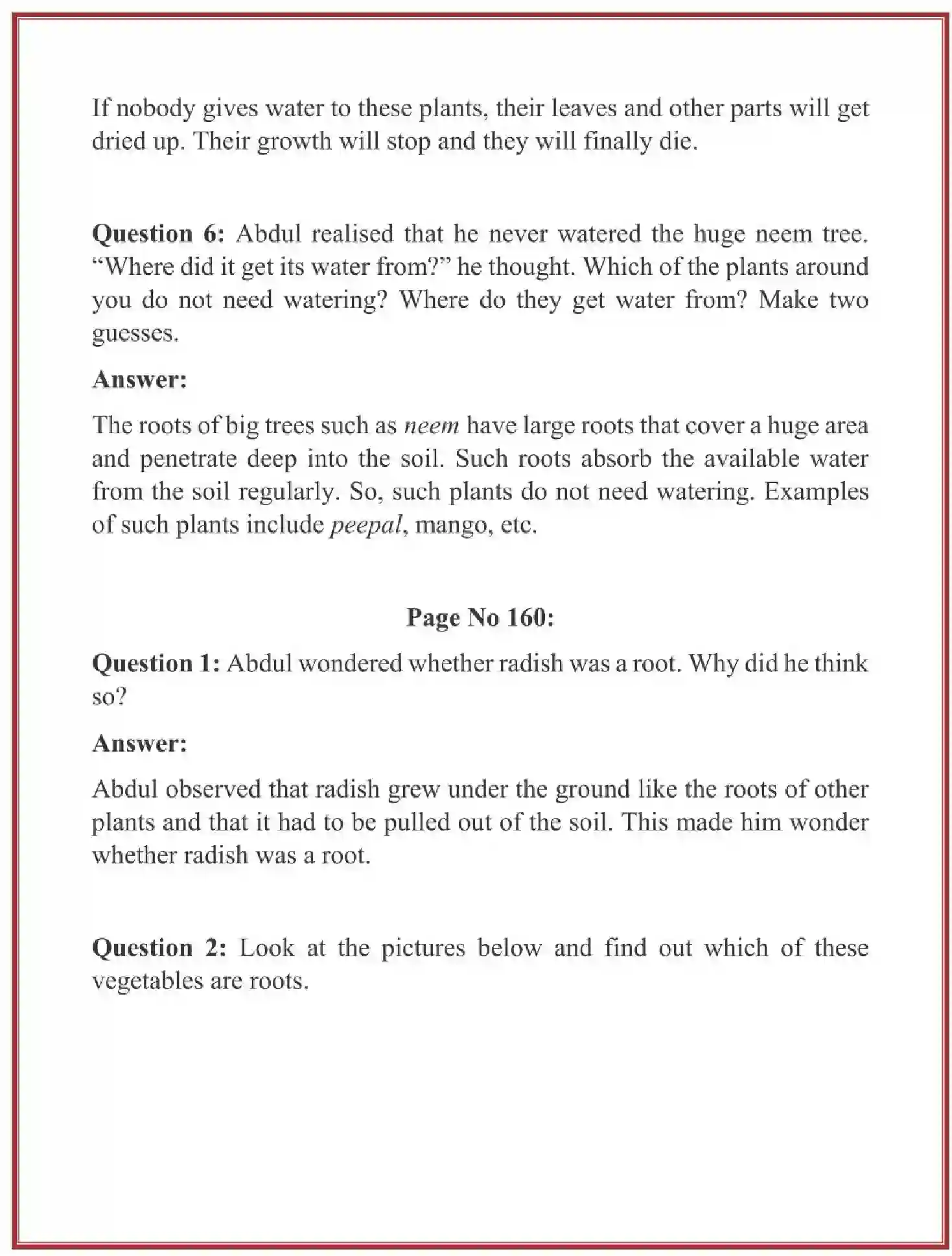 NCERT-Solution-Class-4-Looking-Around-EVS-Chapter-19-Abdul-In-The-Garden-1931-page-3