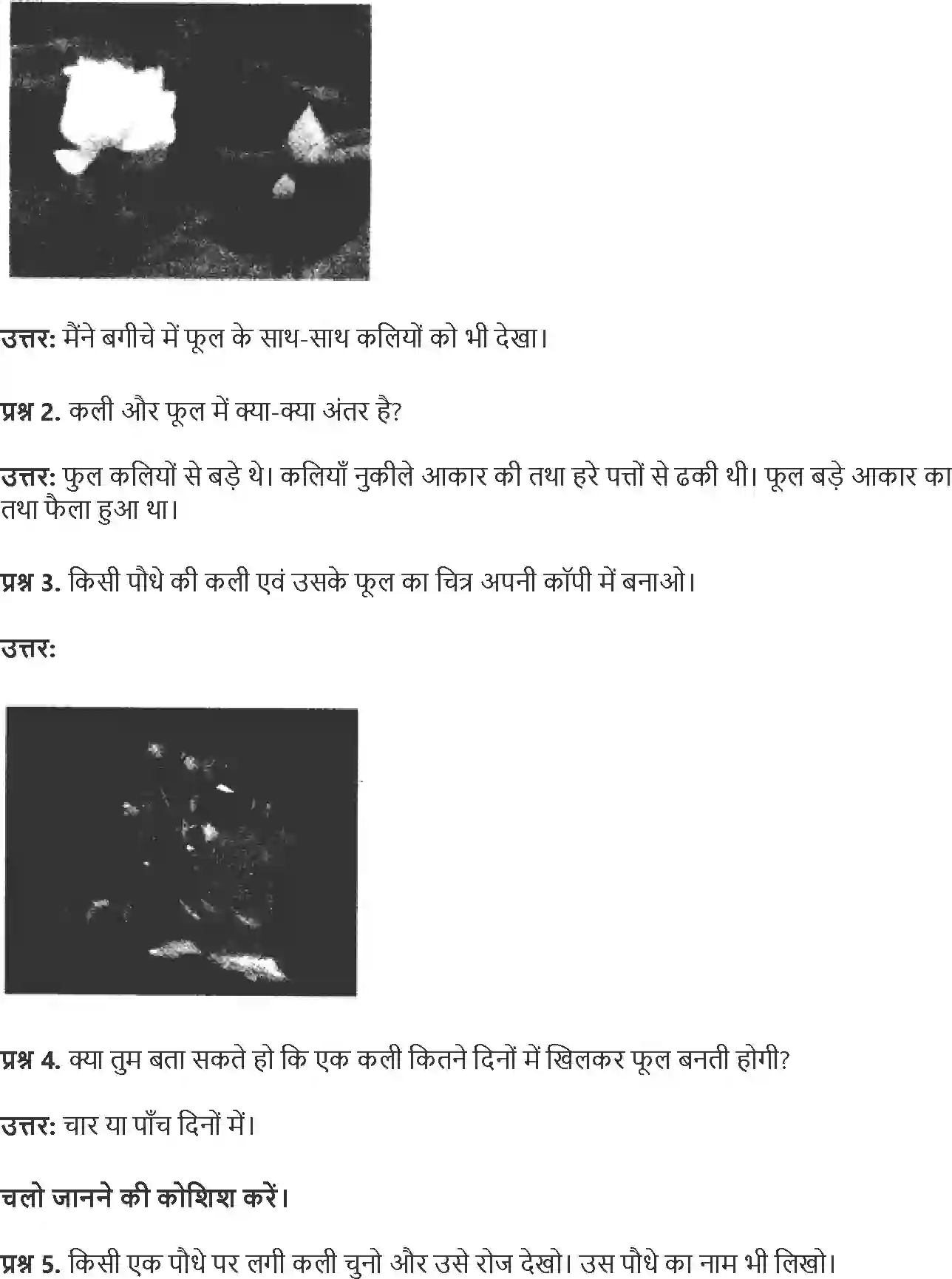 NCERT-Solution-Class-4-Paryavaran-Adhyayan-Aas-Paas-Chapter-11-Fulwari-1964-page-7