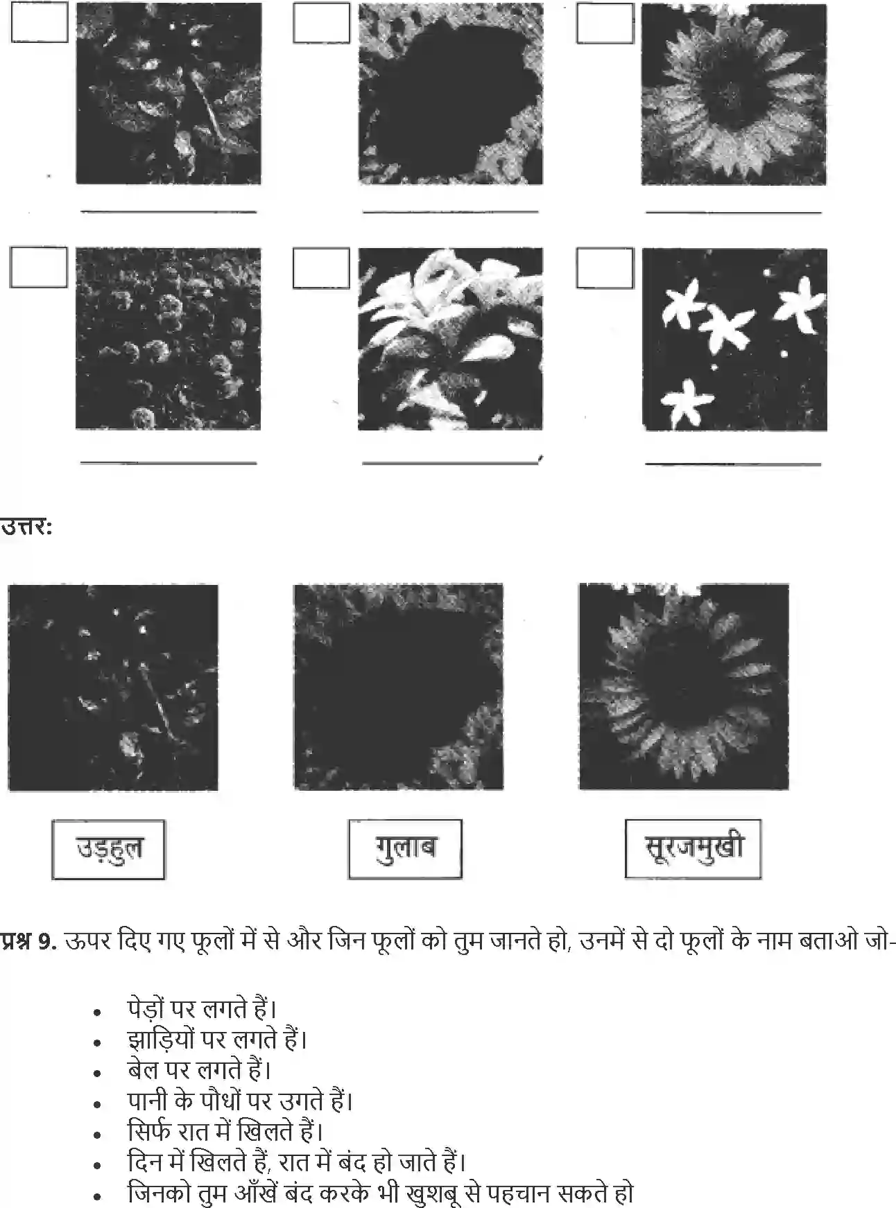 NCERT-Solution-Class-4-Paryavaran-Adhyayan-Aas-Paas-Chapter-11-Fulwari-4136-page-3