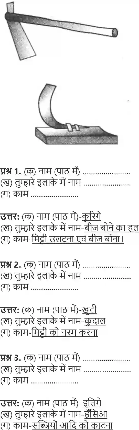 NCERT-Solution-Class-4-Paryavaran-Adhyayan-Aas-Paas-Chapter-14-Basva-Ka-Khet-1967-page-3