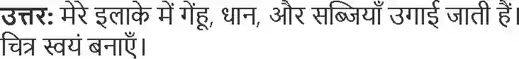 NCERT-Solution-Class-4-Paryavaran-Adhyayan-Aas-Paas-Chapter-14-Basva-Ka-Khet-1967-page-5