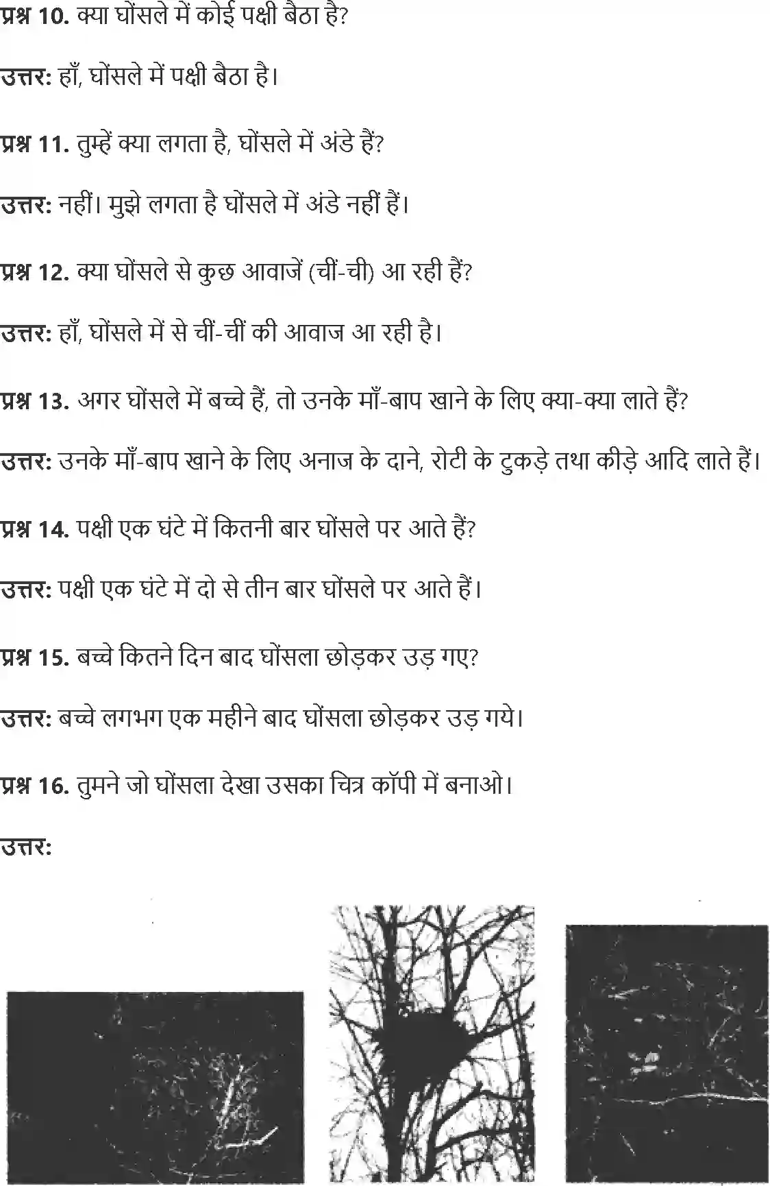 NCERT-Solution-Class-4-Paryavaran-Adhyayan-Aas-Paas-Chapter-16-Chu-Chu-Karti-Aai-Chidhiya-4141-page-3