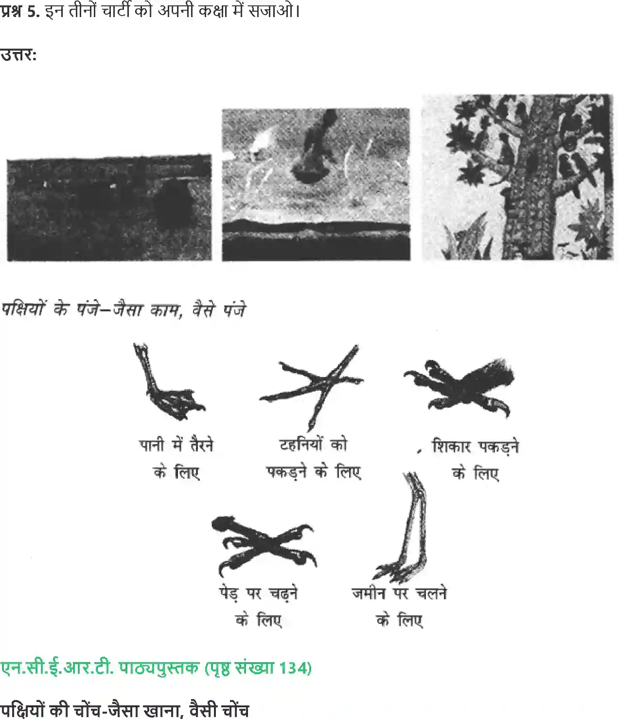 NCERT-Solution-Class-4-Paryavaran-Adhyayan-Aas-Paas-Chapter-16-Chu-Chu-Karti-Aai-Chidhiya-4141-page-6