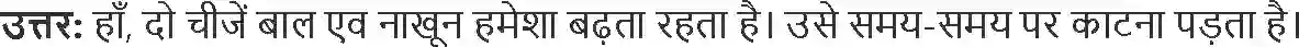 NCERT-Solution-Class-4-Paryavaran-Adhyayan-Aas-Paas-Chapter-19-Jadon-Ka-Jaal-4144-page-10