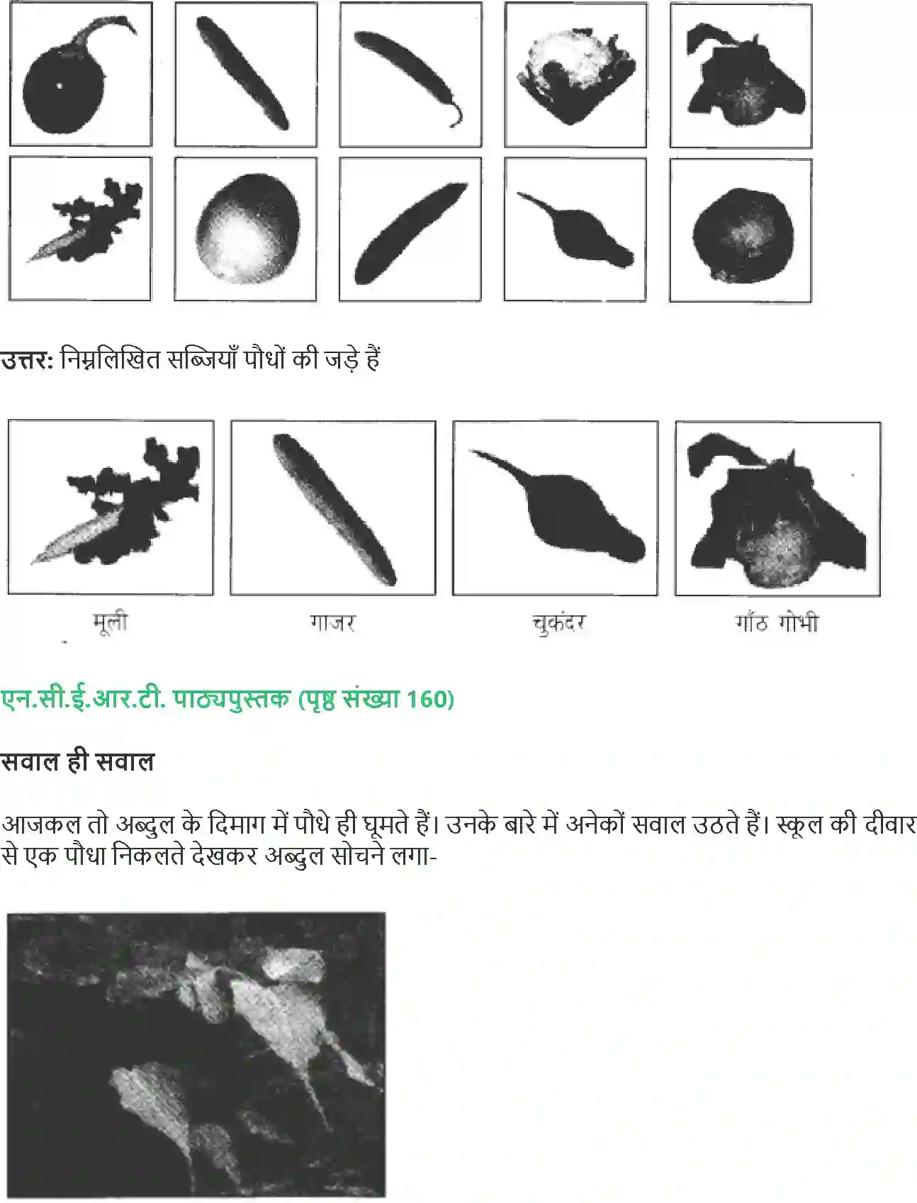 NCERT-Solution-Class-4-Paryavaran-Adhyayan-Aas-Paas-Chapter-19-Jadon-Ka-Jaal-4144-page-3