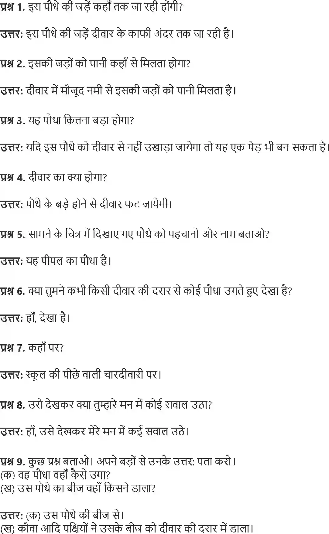 NCERT-Solution-Class-4-Paryavaran-Adhyayan-Aas-Paas-Chapter-19-Jadon-Ka-Jaal-4144-page-4