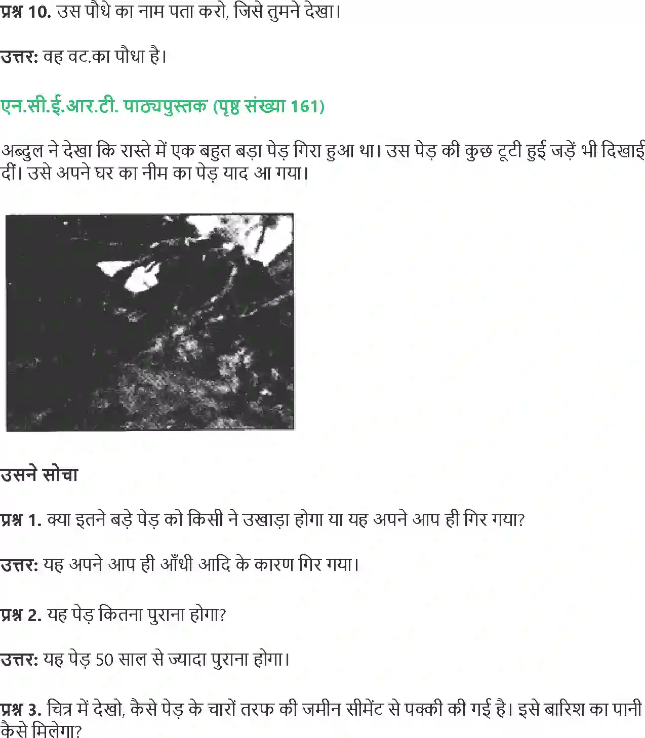 NCERT-Solution-Class-4-Paryavaran-Adhyayan-Aas-Paas-Chapter-19-Jadon-Ka-Jaal-4144-page-5
