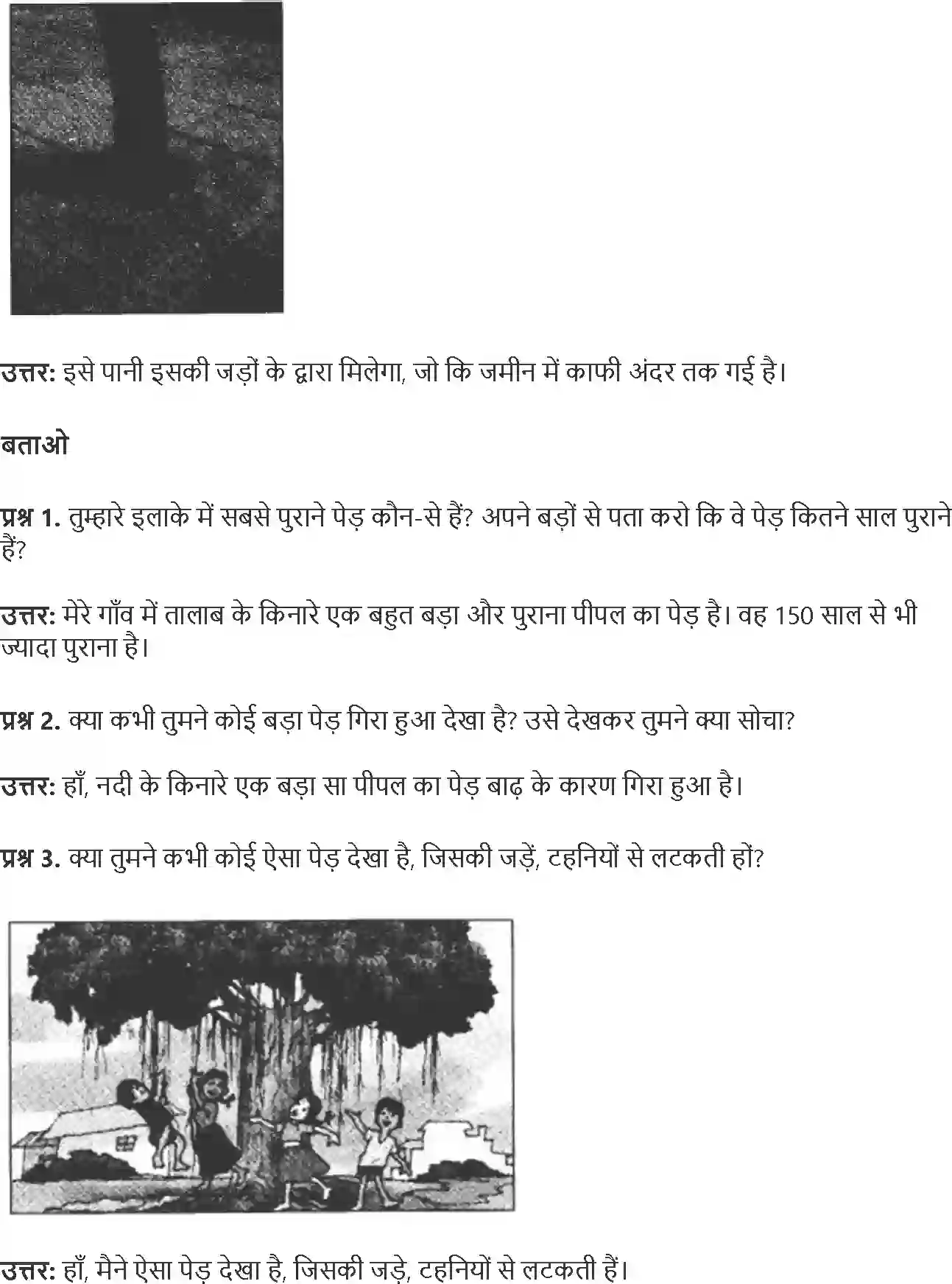 NCERT-Solution-Class-4-Paryavaran-Adhyayan-Aas-Paas-Chapter-19-Jadon-Ka-Jaal-4144-page-6