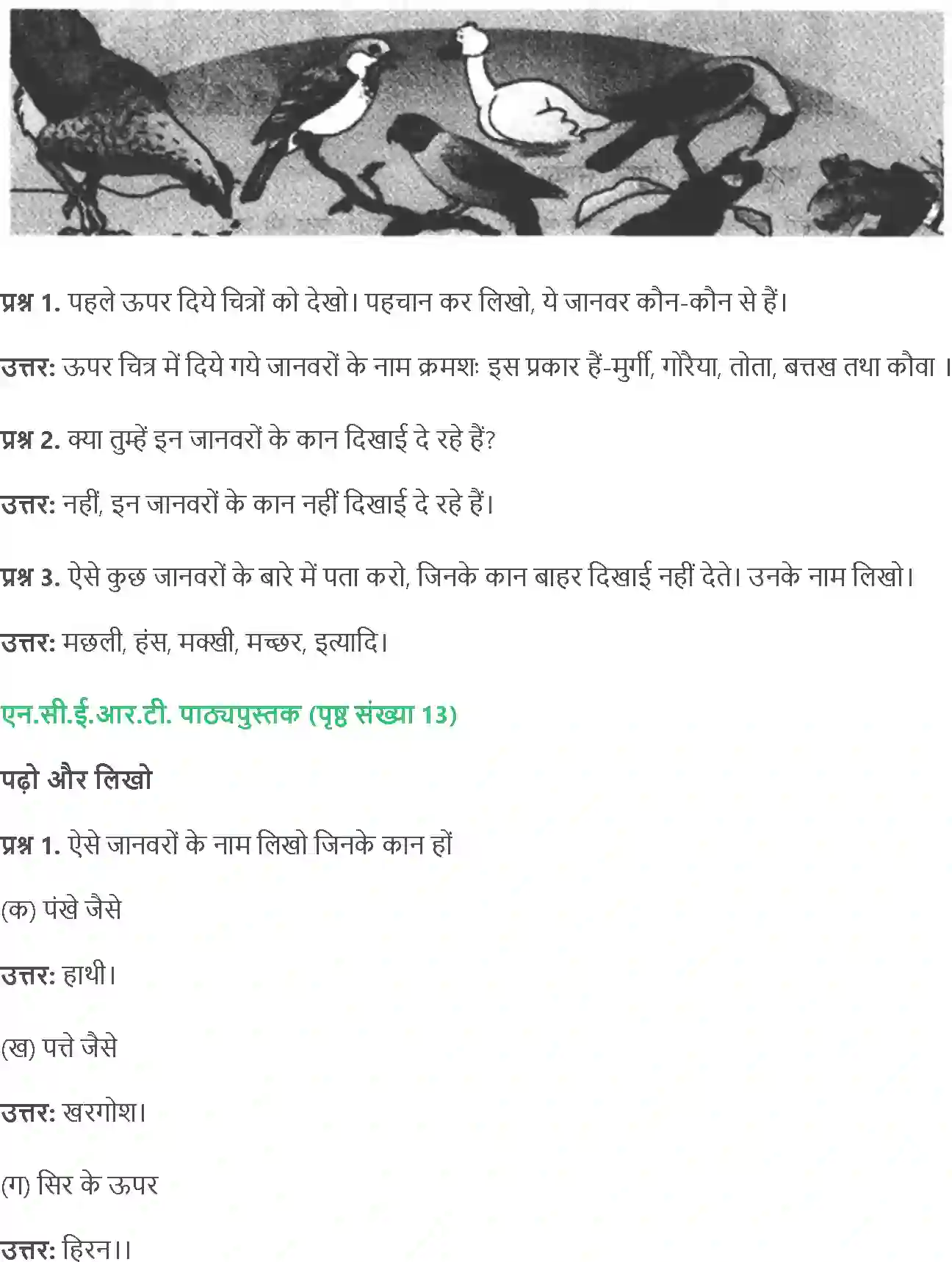 NCERT-Solution-Class-4-Paryavaran-Adhyayan-Aas-Paas-Chapter-2-Kaan-Kaan-Me-1955-page-3