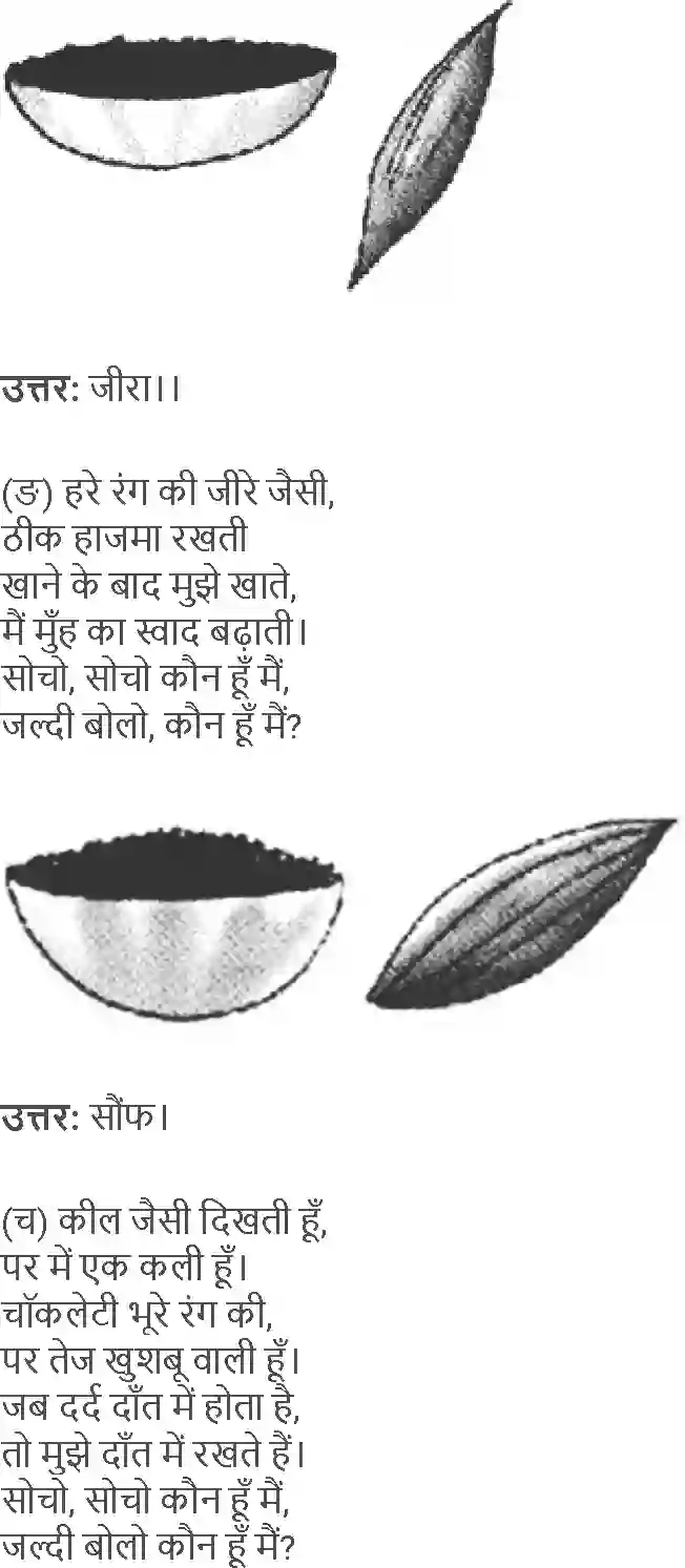 NCERT-Solution-Class-4-Paryavaran-Adhyayan-Aas-Paas-Chapter-25-Chatpati-Paheliya-1978-page-3