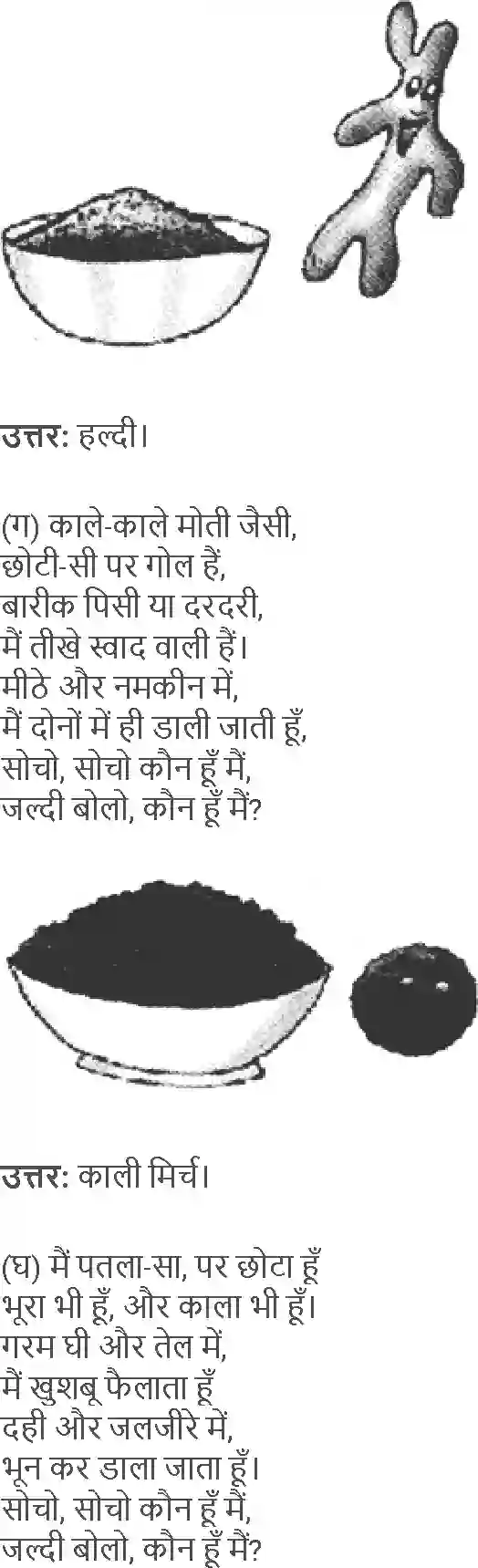NCERT-Solution-Class-4-Paryavaran-Adhyayan-Aas-Paas-Chapter-25-Chatpati-Paheliya-4150-page-2