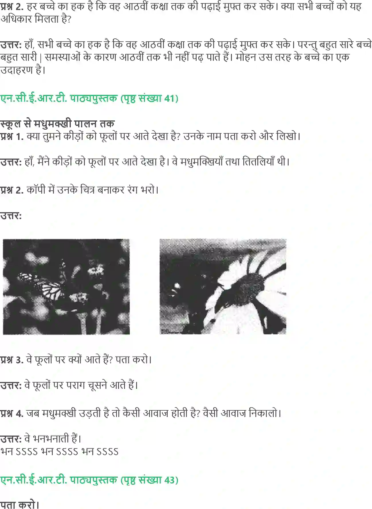 NCERT-Solution-Class-4-Paryavaran-Adhyayan-Aas-Paas-Chapter-5-Anita-Ki-Madhumakkhiya-1958-page-3