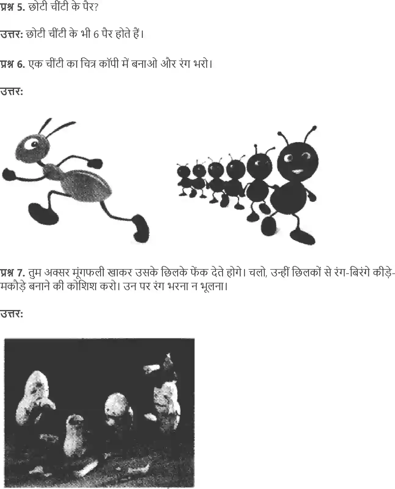 NCERT-Solution-Class-4-Paryavaran-Adhyayan-Aas-Paas-Chapter-5-Anita-Ki-Madhumakkhiya-1958-page-6