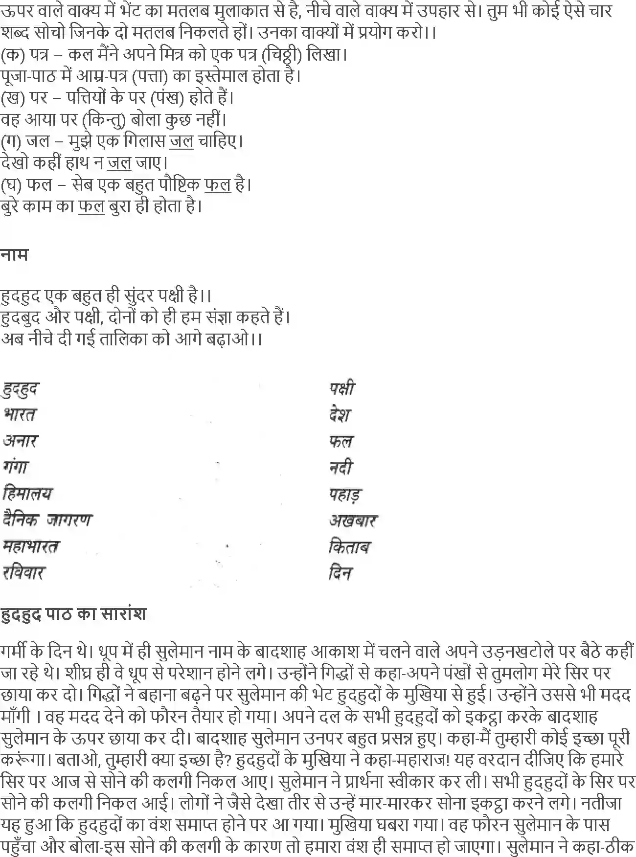 NCERT-Solution-Class-4-Rimjhim-Chapter-13-Hudhud-4124-page-4