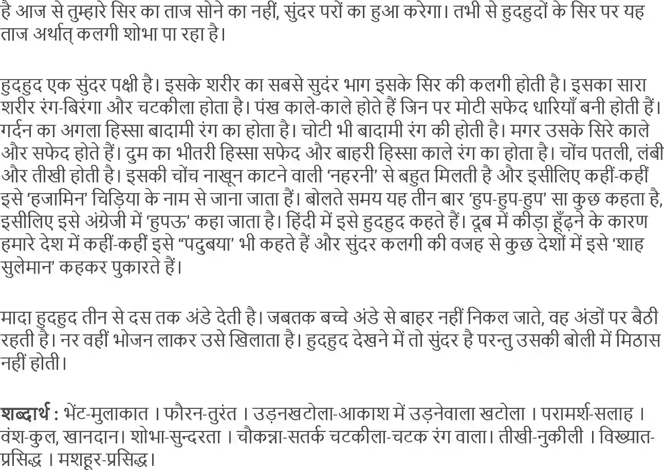 NCERT-Solution-Class-4-Rimjhim-Chapter-13-Hudhud-4124-page-5