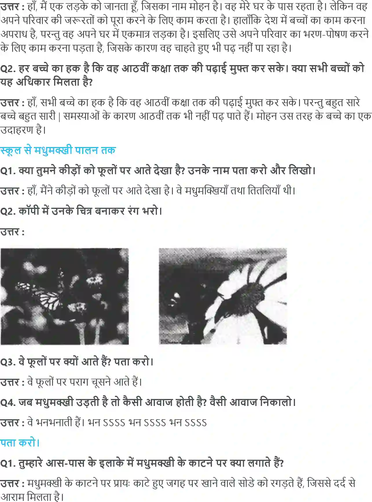 NCERT-Solution-Class-4-आसपास-अनिता-कि-मधुमक्खियां-5463-page-2