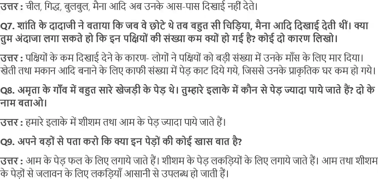 NCERT-Solution-Class-4-आसपास-अमृता-की-कहानी-5462-page-3