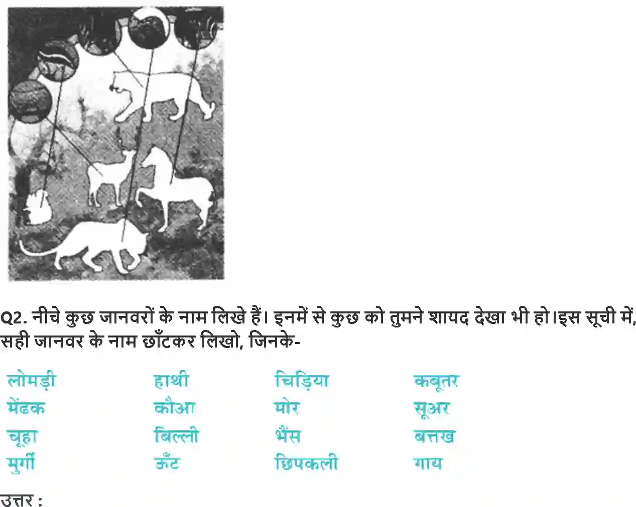 NCERT-Solution-Class-4-आसपास-कानकान-मे-5460-page-4