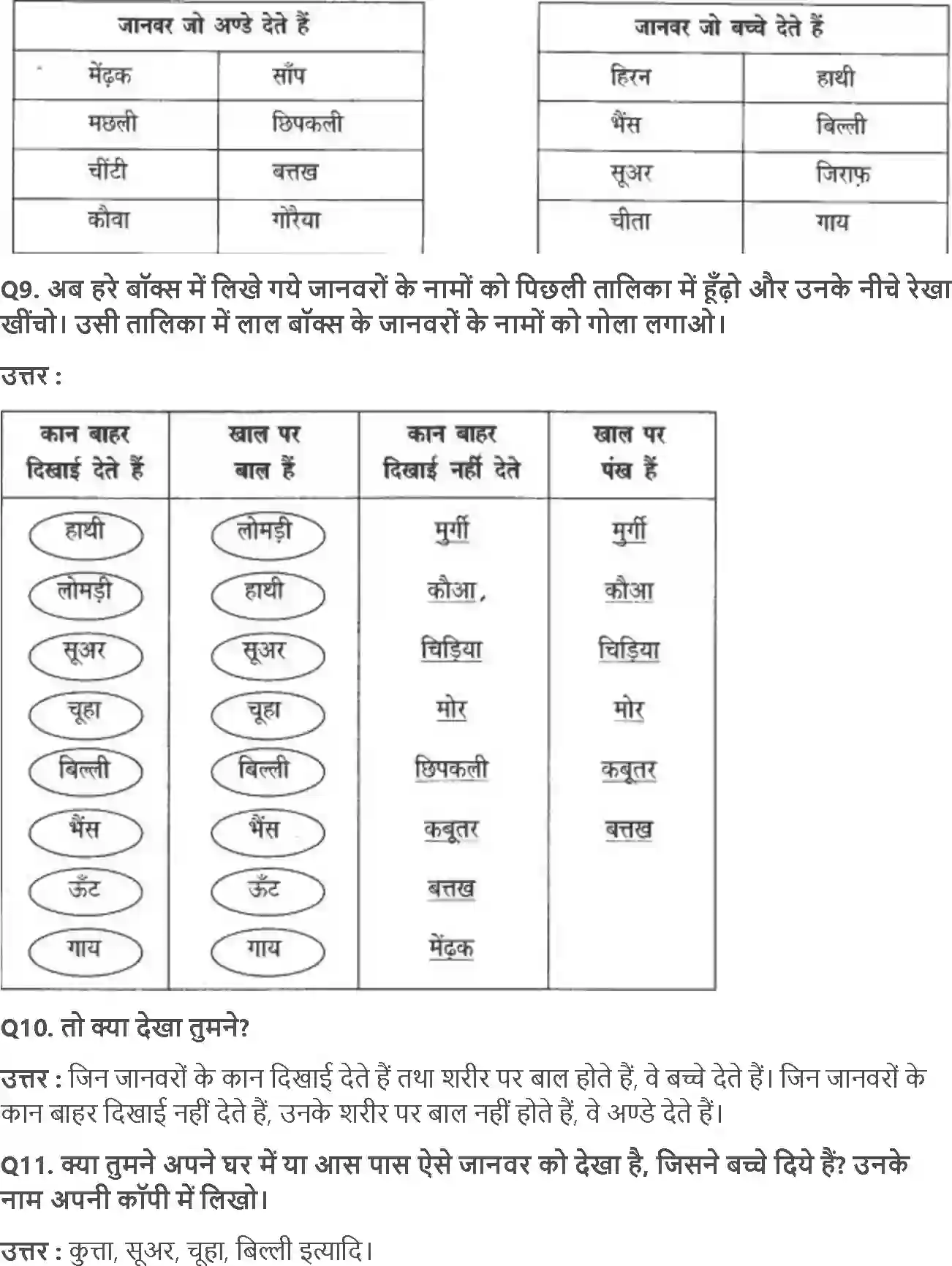 NCERT-Solution-Class-4-आसपास-कानकान-मे-5460-page-6