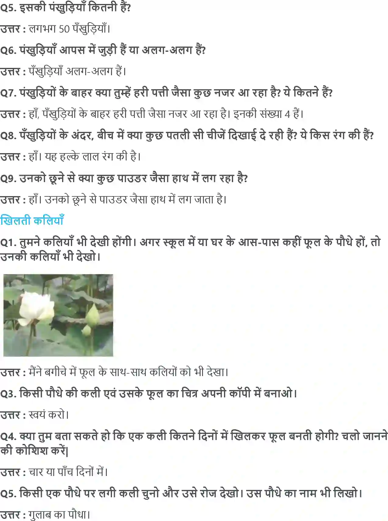 NCERT-Solution-Class-4-आसपास-फुलवारी-5469-page-5