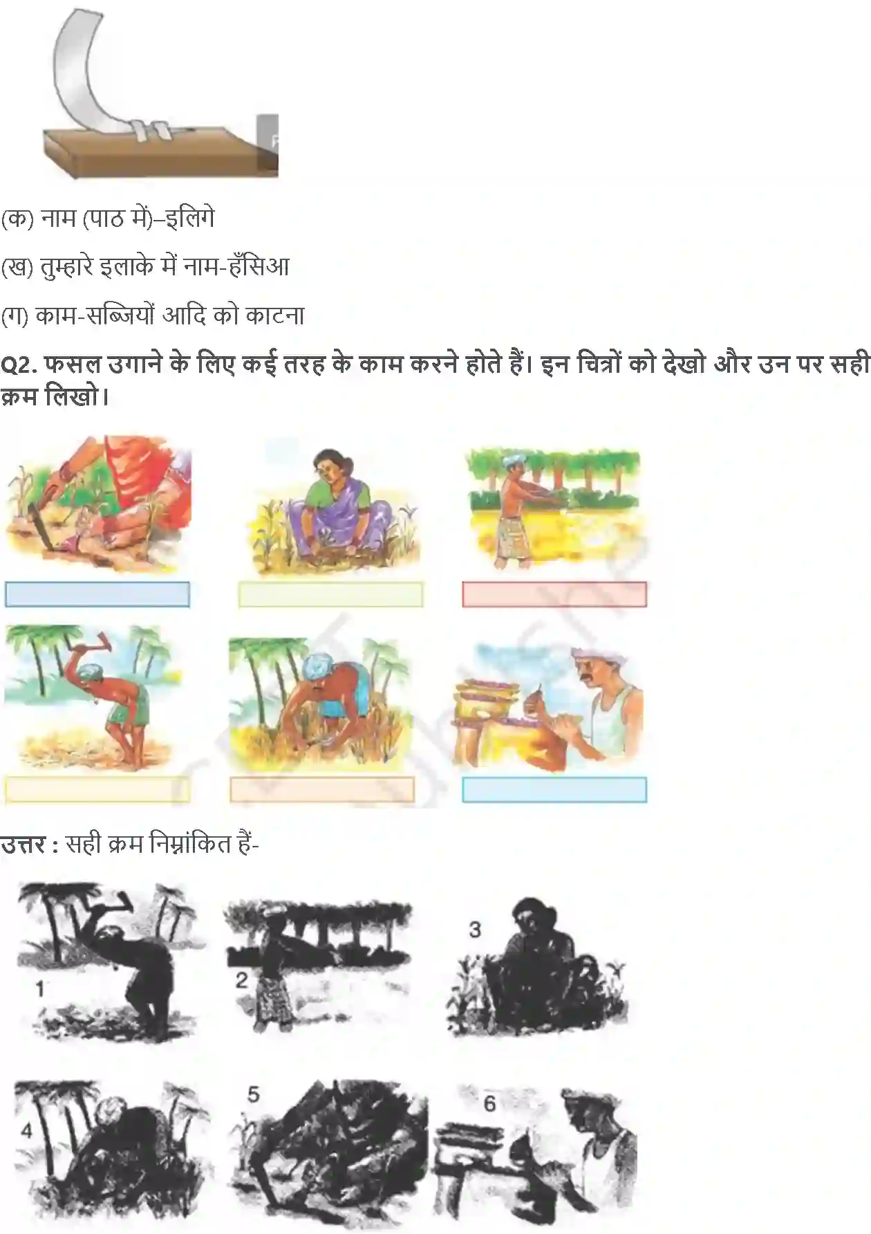 NCERT-Solution-Class-4-आसपास-बसवा-का-खेत-5471-page-3