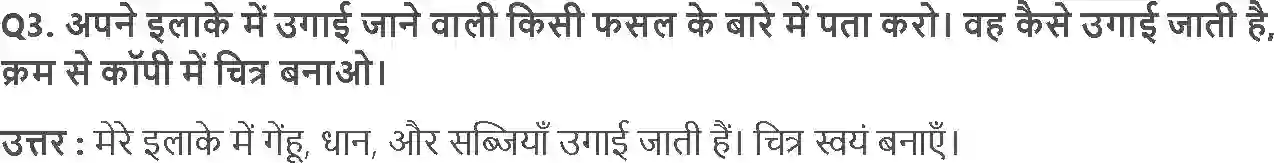 NCERT-Solution-Class-4-आसपास-बसवा-का-खेत-5471-page-4