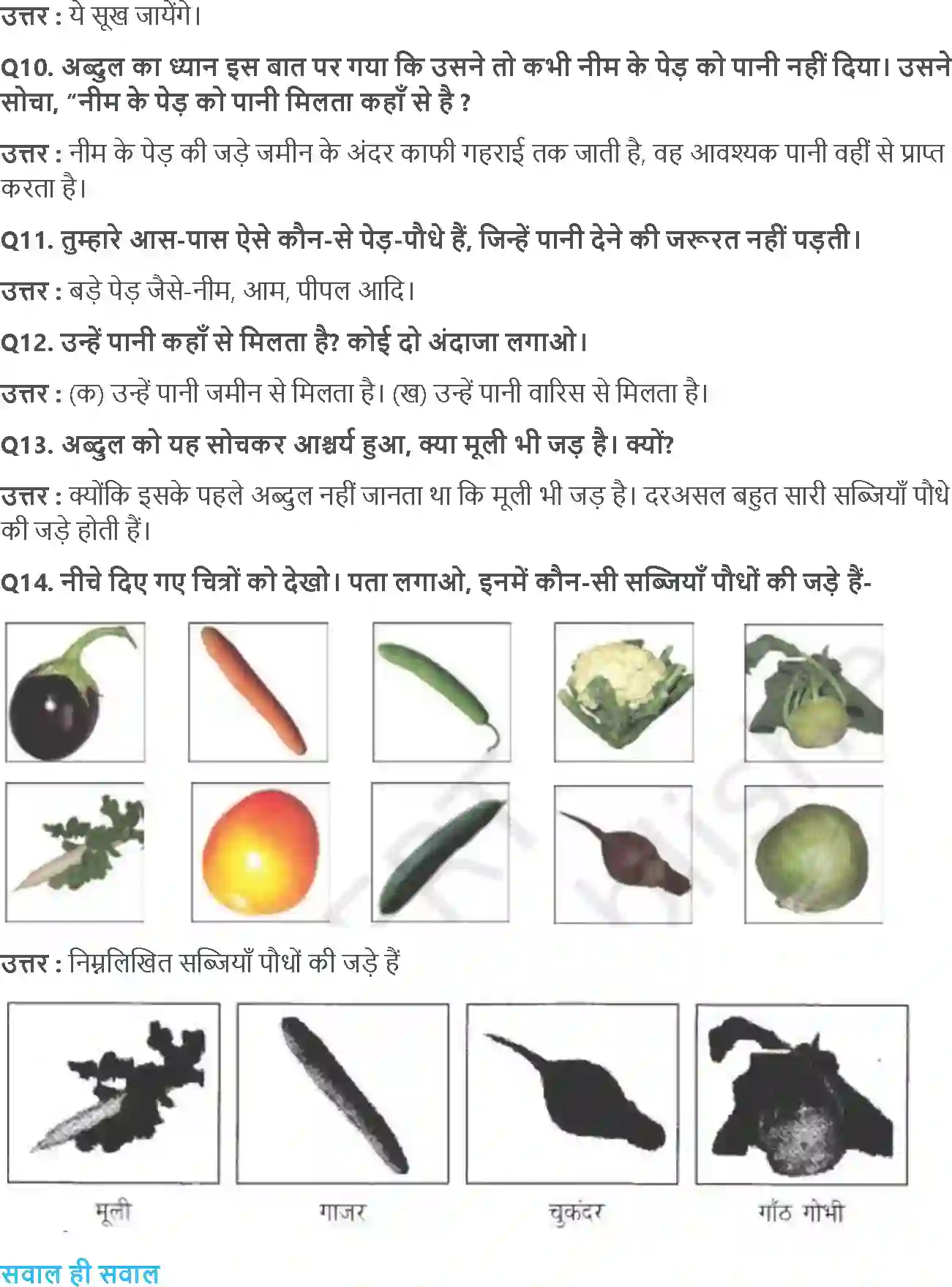 NCERT-Solution-Class-4-आसपास-ज़ड़ों-क़ा-ज़ाल-5476-page-2