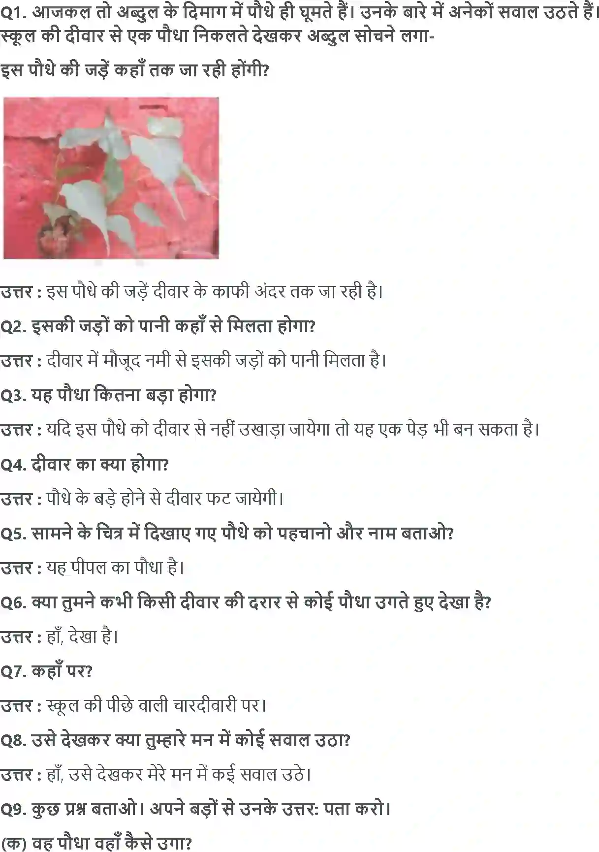 NCERT-Solution-Class-4-आसपास-ज़ड़ों-क़ा-ज़ाल-5476-page-3