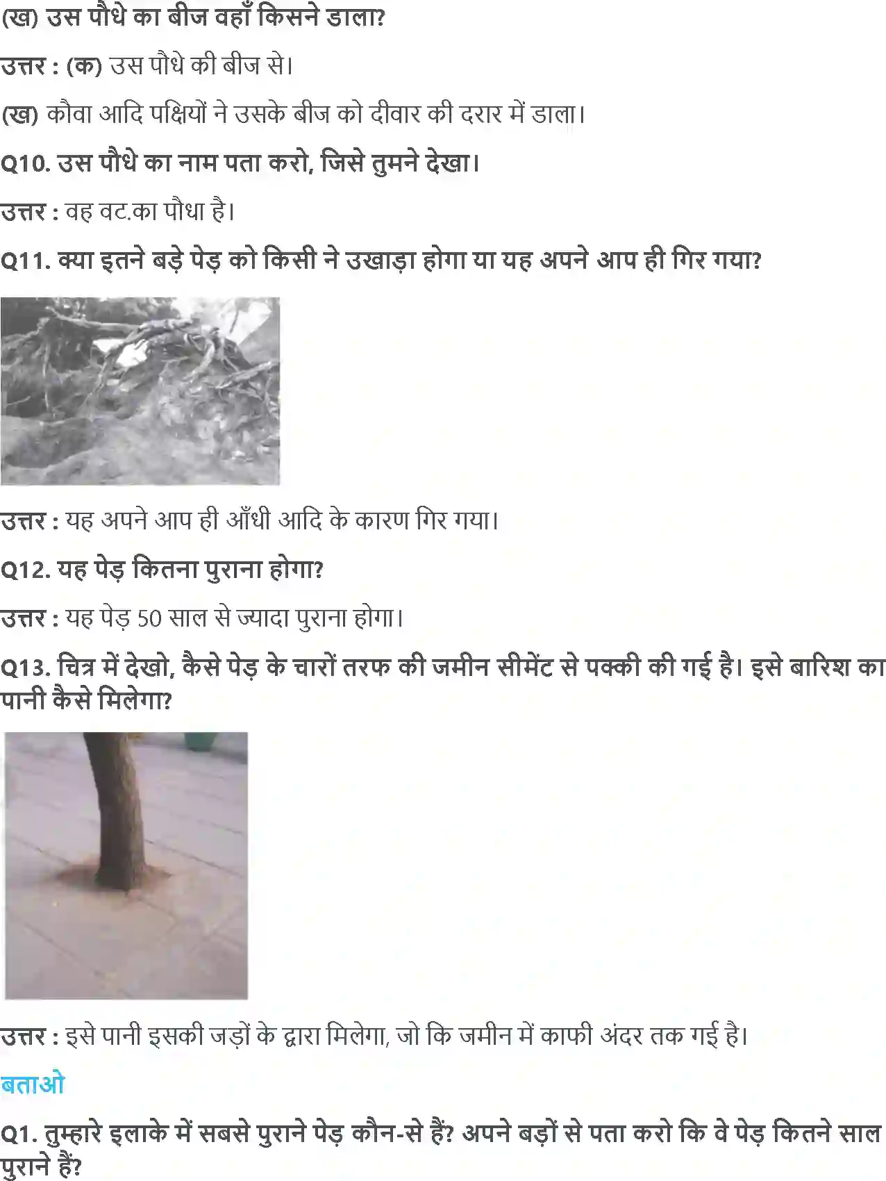 NCERT-Solution-Class-4-आसपास-ज़ड़ों-क़ा-ज़ाल-5476-page-4