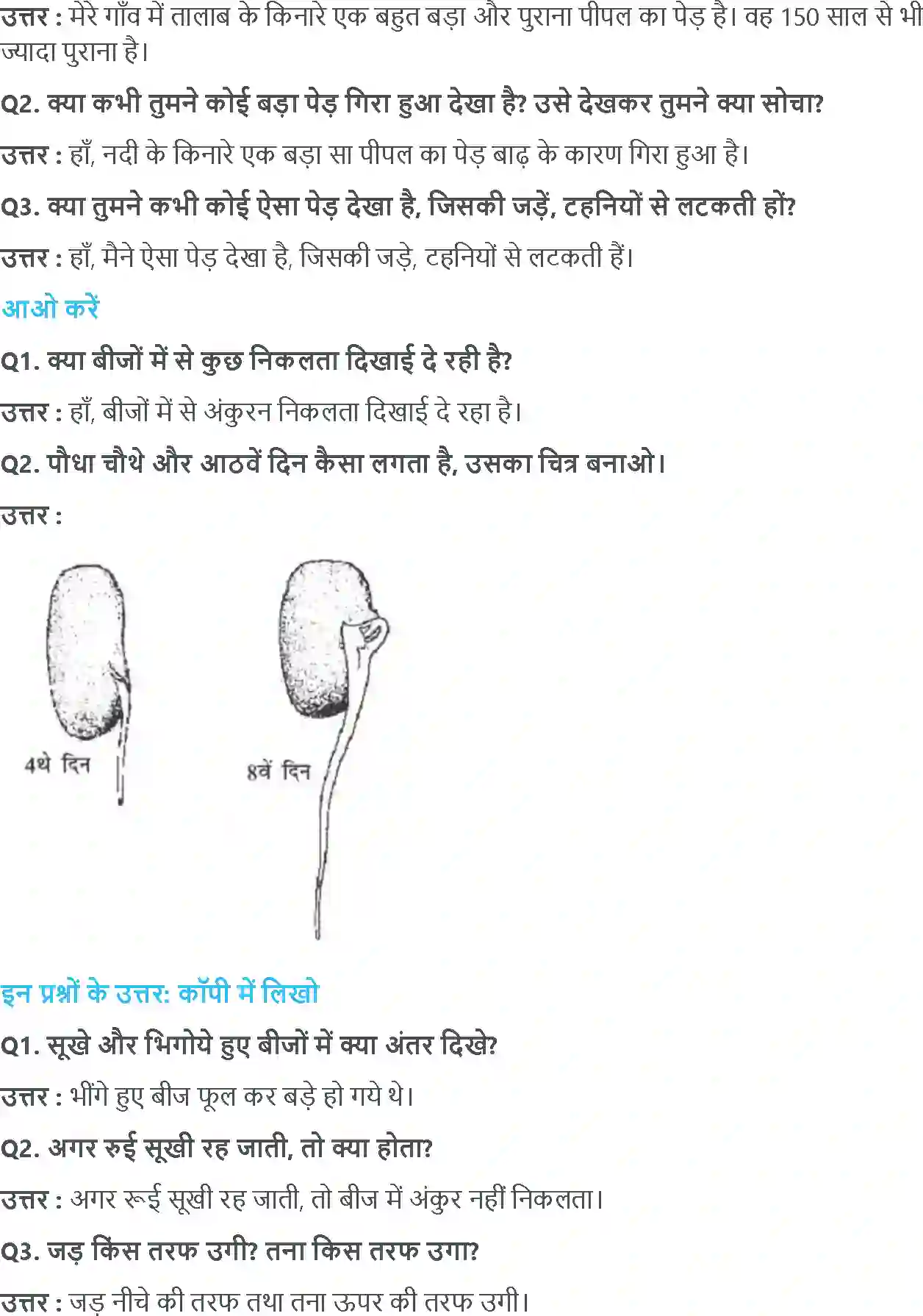 NCERT-Solution-Class-4-आसपास-ज़ड़ों-क़ा-ज़ाल-5476-page-5