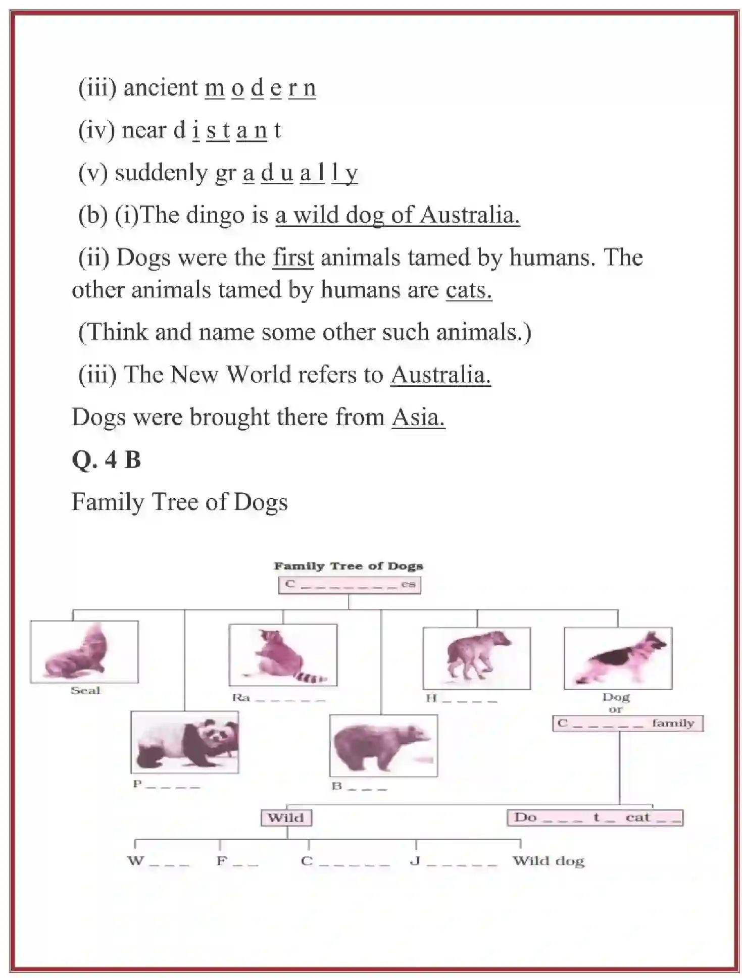 NCERT-Solution-Class-6-English-Chapter-2-How-the-Dog-Found-Himself-1660-page-11