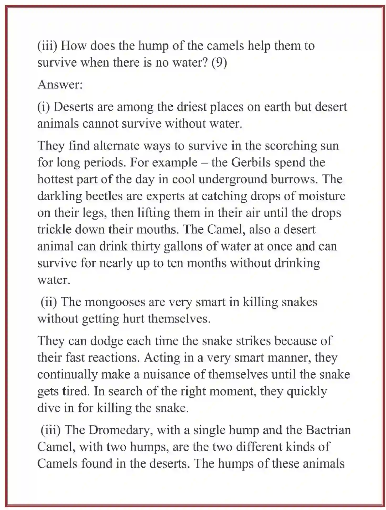 NCERT-Solution-Class-6-English-Chapter-9-Desert-Animals-3839-page-3