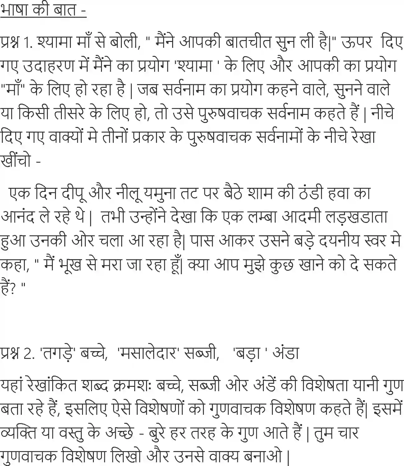 NCERT-Solution-Class-6-Hindi-Chapter-3-Nadaan-Dost-3900-page-3