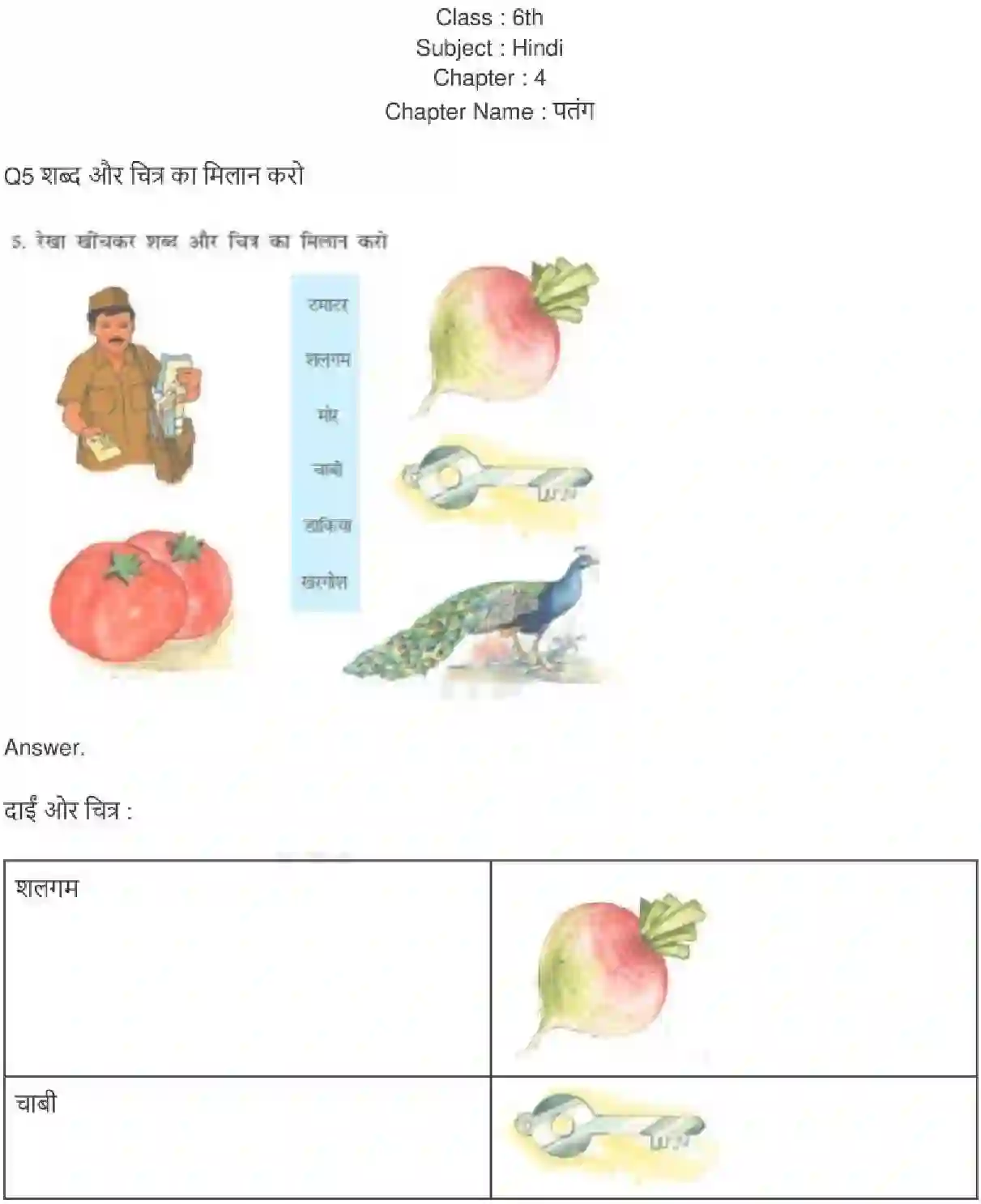 NCERT-Solution-Class-6-Hindi-Chapter-4-Patang-3873-page-1