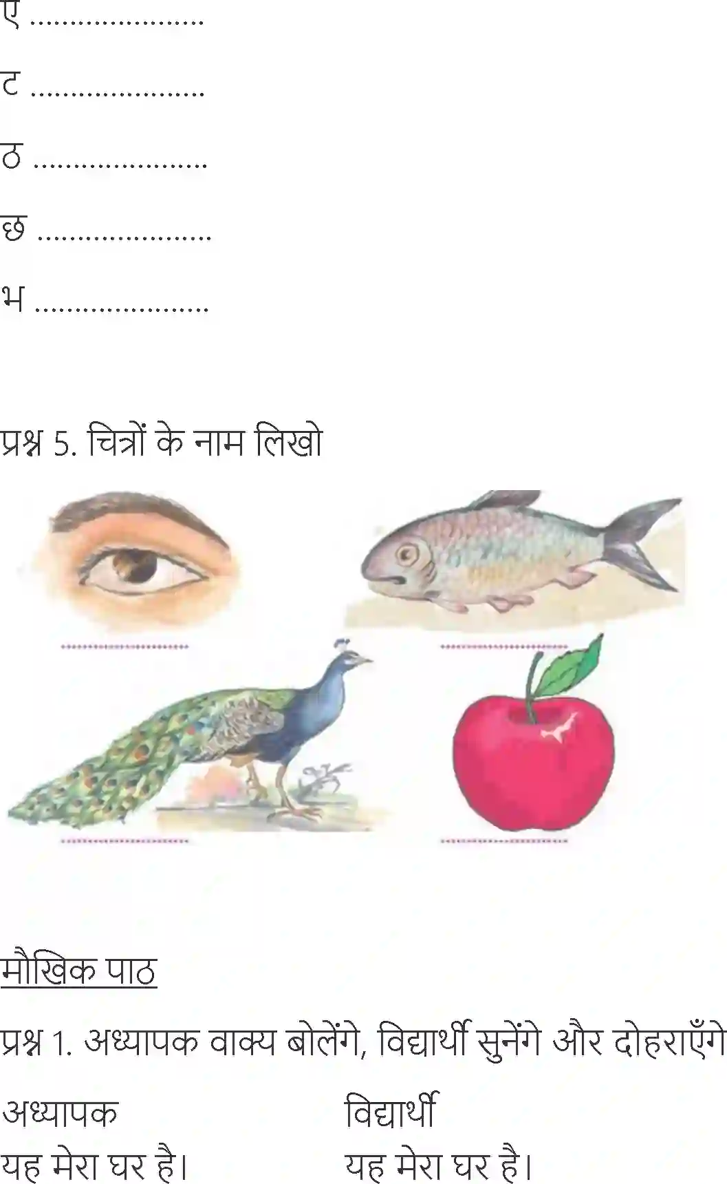NCERT-Solution-Class-6-Hindi-Chapter-5-Bhaloo-3874-page-2