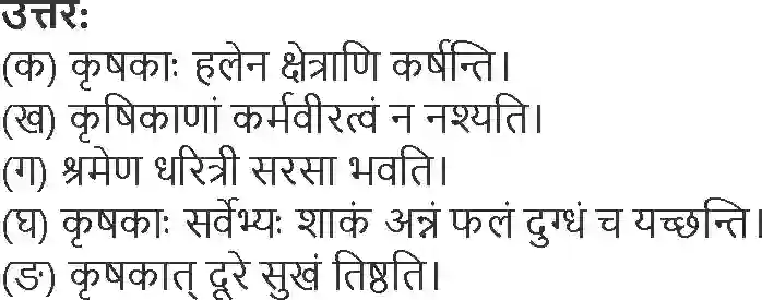 NCERT-Solution-Class-6-Sanskrit-Chapter-10-Krishika-Karmvir-1752-page-4