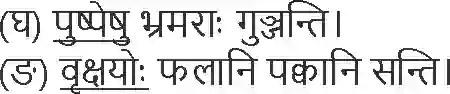 NCERT-Solution-Class-6-Sanskrit-Chapter-11-Pushpotsav-1753-page-4