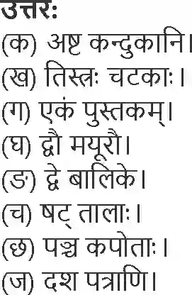 NCERT-Solution-Class-6-Sanskrit-Chapter-12-Dasham-tvam-Asi-1754-page-4