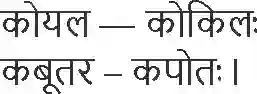 NCERT-Solution-Class-6-Sanskrit-Chapter-15-Matulchandra-3929-page-5