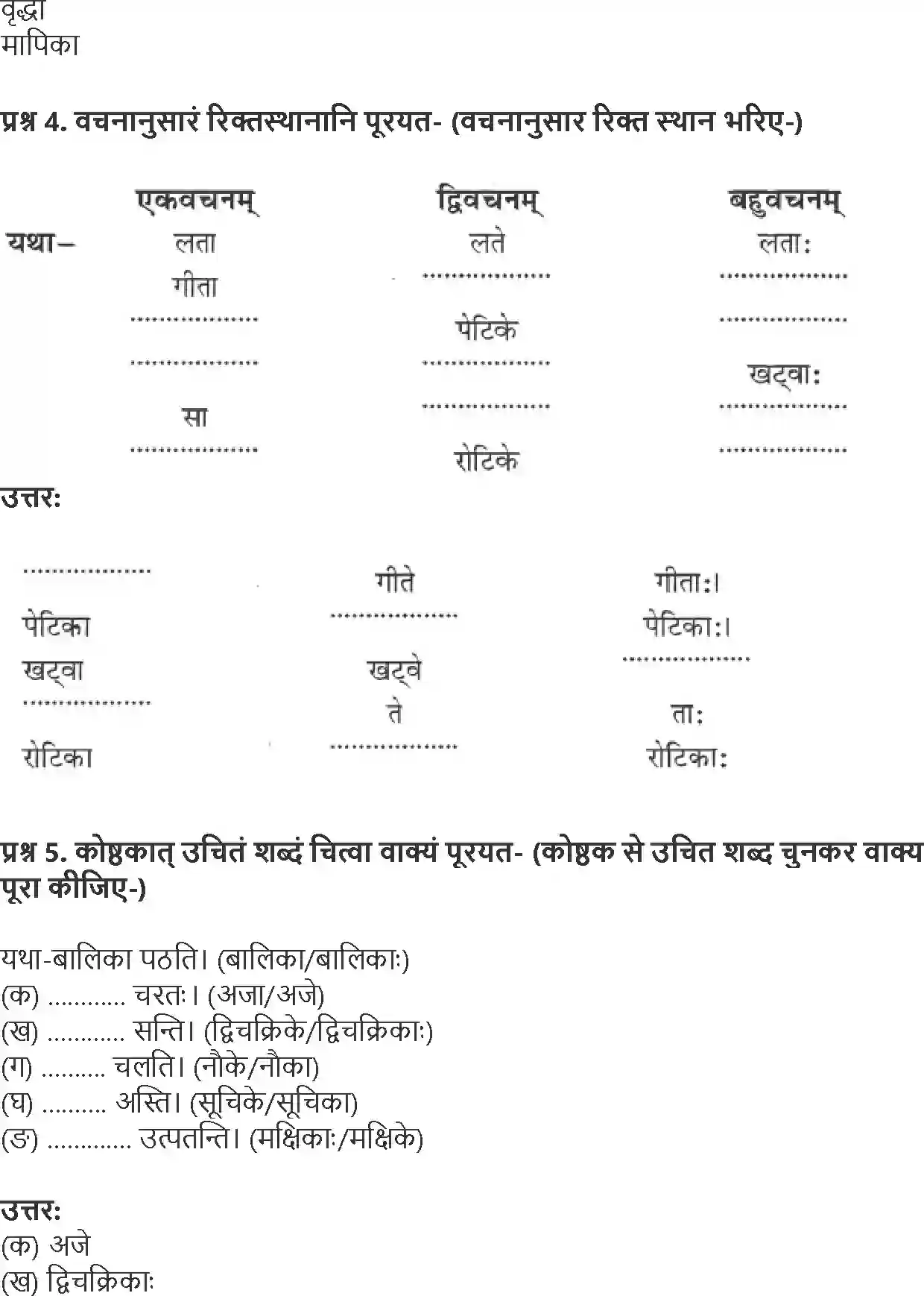 NCERT-Solution-Class-6-Sanskrit-Chapter-2-3916-page-4