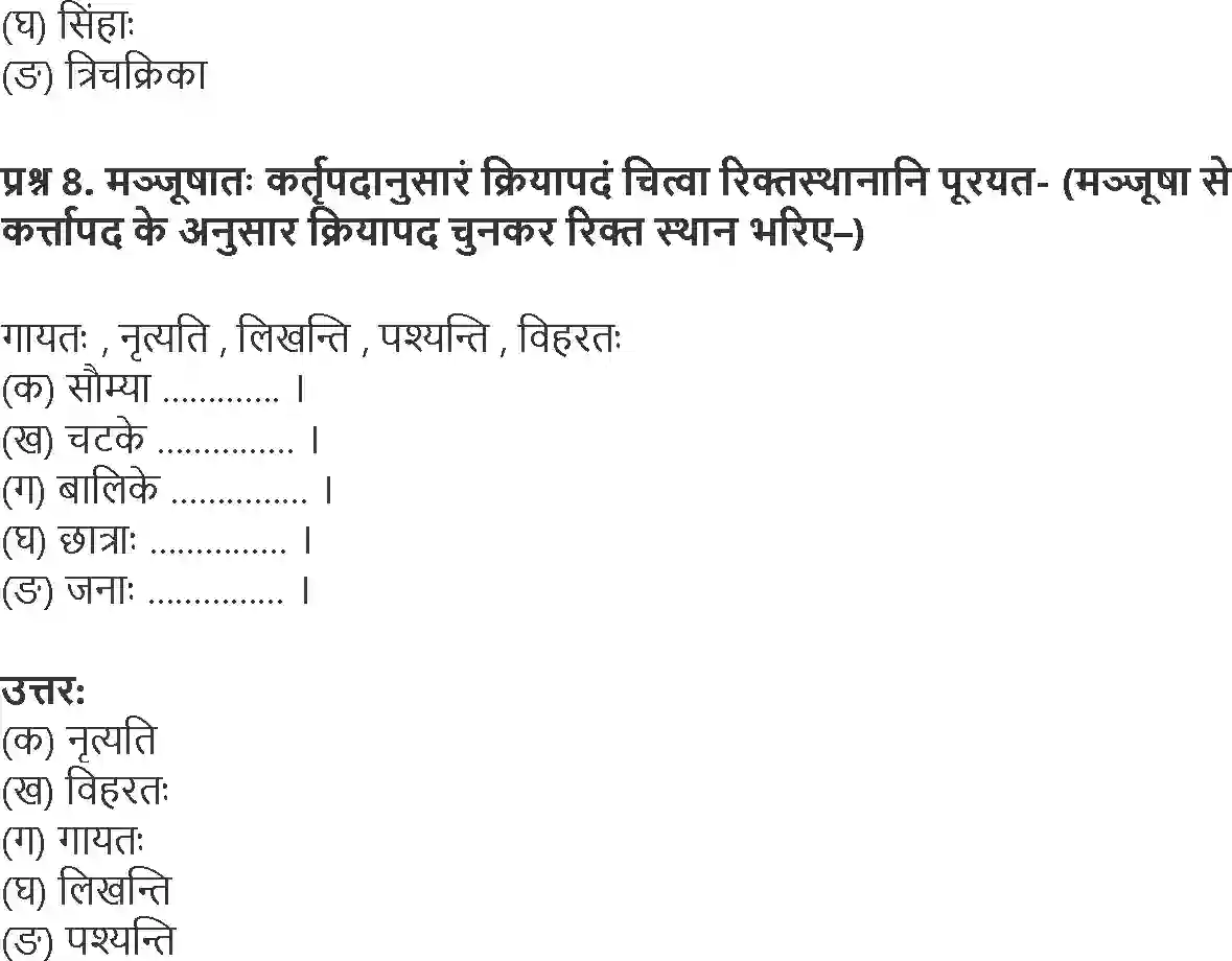 NCERT-Solution-Class-6-Sanskrit-Chapter-2-3916-page-6