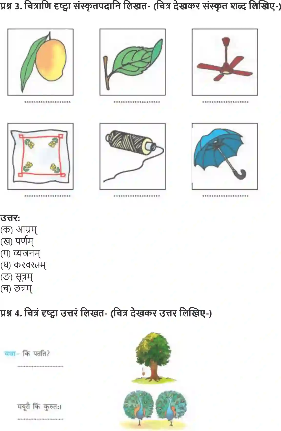 NCERT-Solution-Class-6-Sanskrit-Chapter-3-Shabd-Parichay-3917-page-3