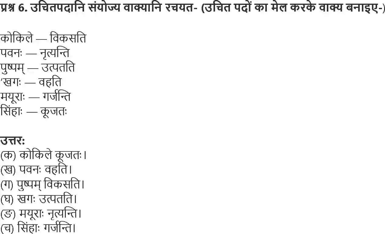 NCERT-Solution-Class-6-Sanskrit-Chapter-3-Shabd-Parichay-3917-page-5