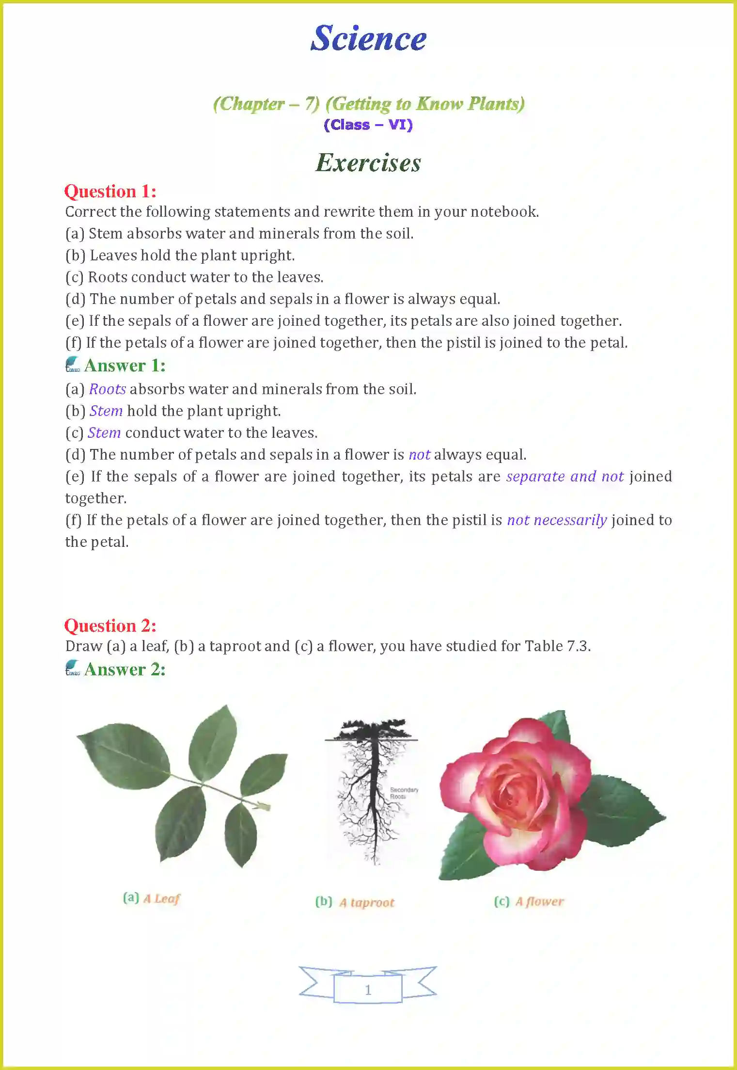NCERT-Solution-Class-6-Science-Chapter-7-Getting-to-Know-Plants-1639-page-1
