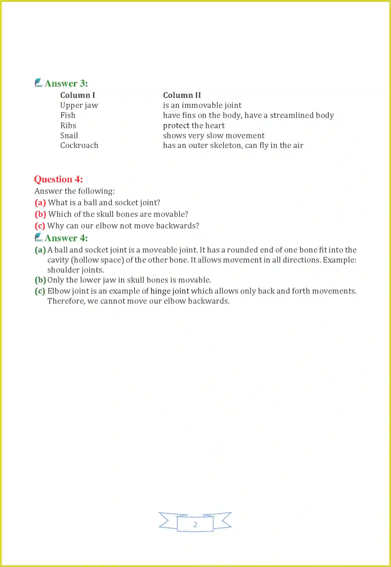 NCERT-Solution-Class-6-Science-Chapter-8-Body-Movement-3812-page-2