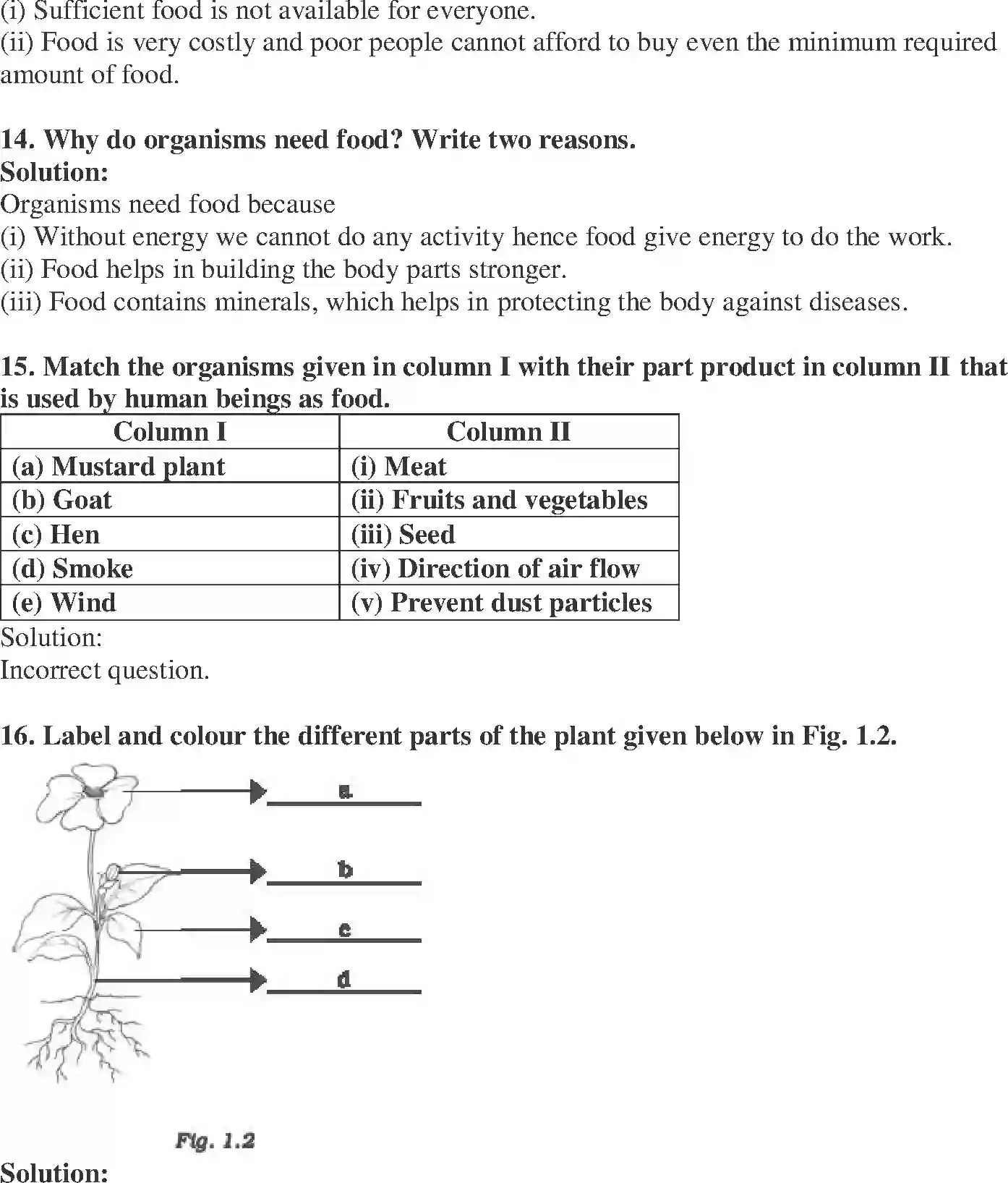 NCERT-Solution-Class-6-Science-Exemplar-Food-Where-does-it-come-from-1767-page-5