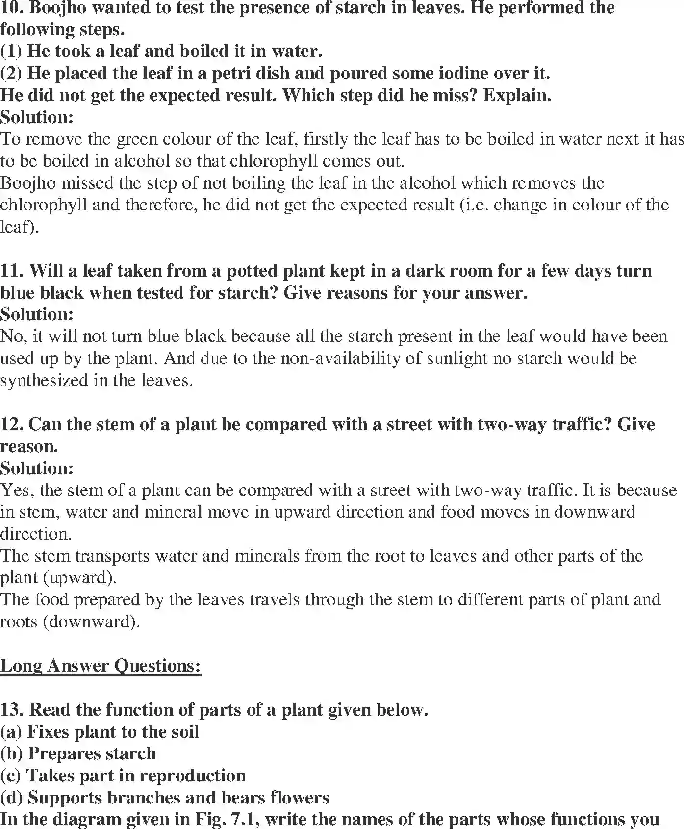 NCERT-Solution-Class-6-Science-Exemplar-Getting-to-Know-Plants-3945-page-4